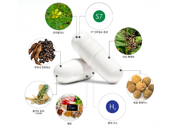 Lucias(루시아스)