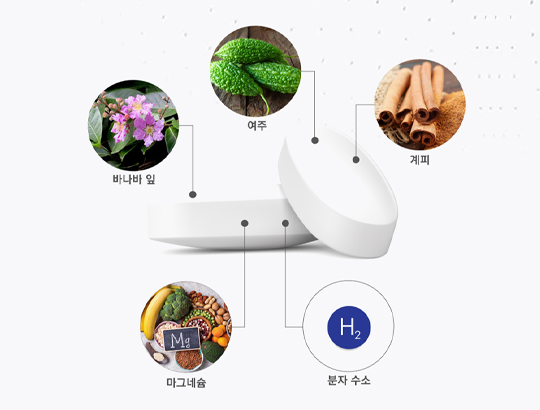DangPro(당프로)